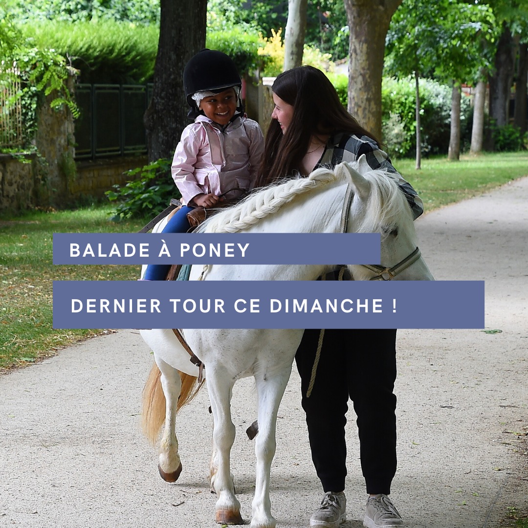 [DERNIER DIMANCHE POUR UN TOUR EN PONEY !] La Ville et le centre équestre Montgeron équitation proposent des promenades en poney sur la Pelouse, pour les enfants de 3 à 8 ans 📅 Dernier tour, dimanche 31 de 14h30 à 17h 👛 Départ au niveau de l’avenue de la Vénerie. 2 € le tour