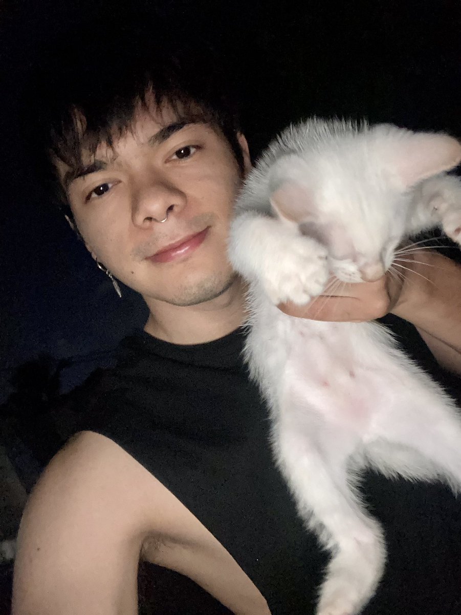 Swiftiefromx's tweet photo. @taylornation13 Cats!!!!! that’s the only right answer 🥰 #midnighTSnosleepover https://t.co/qU4w4qp8XW