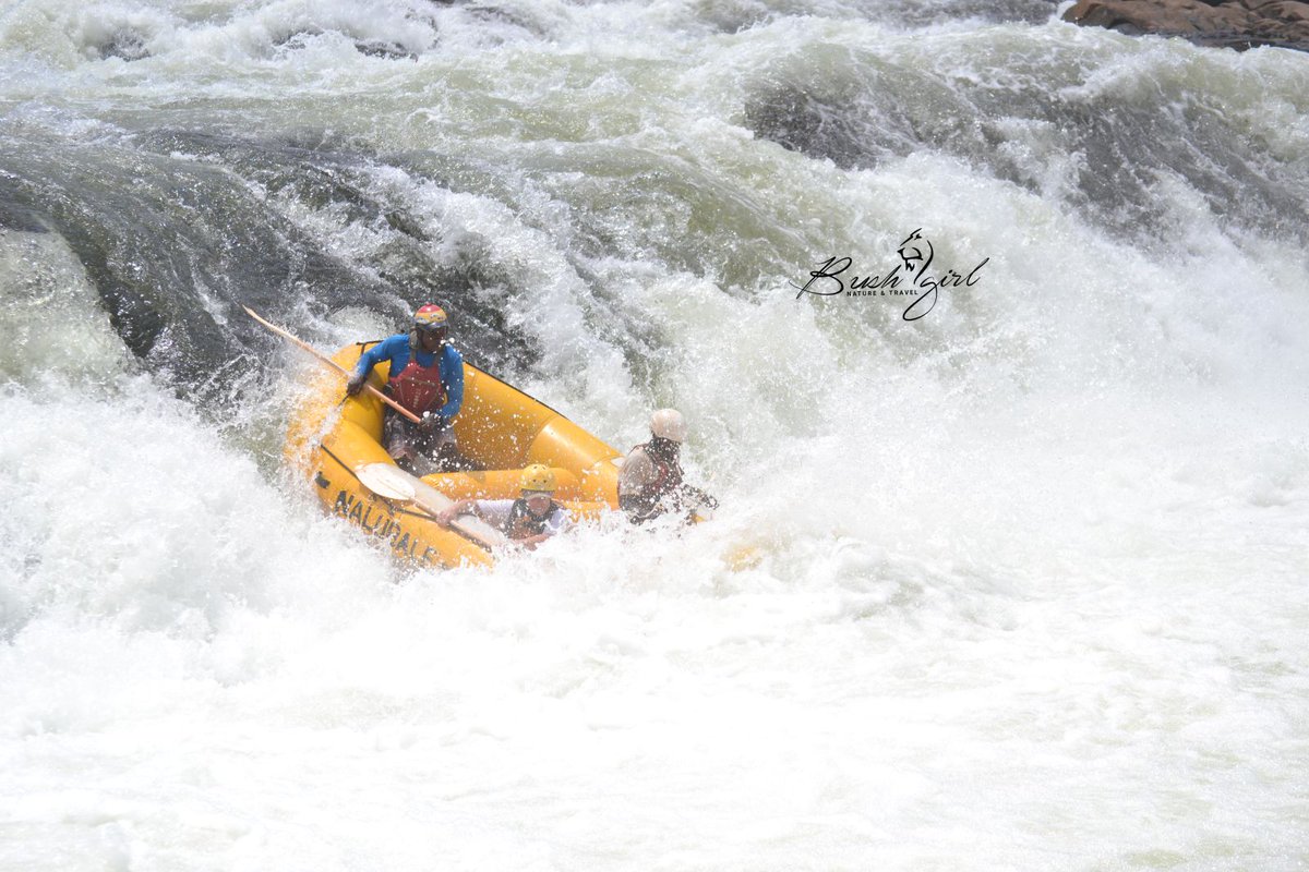 the_bushgal_'s tweet photo. The only trip you regret is on you didn't make.Bring your adrenaline quest and experiences to Uganda, let the nile rush speak to your adventure soul.#Travelbloggerscomunity https://t.co/vXbFmYFNOs