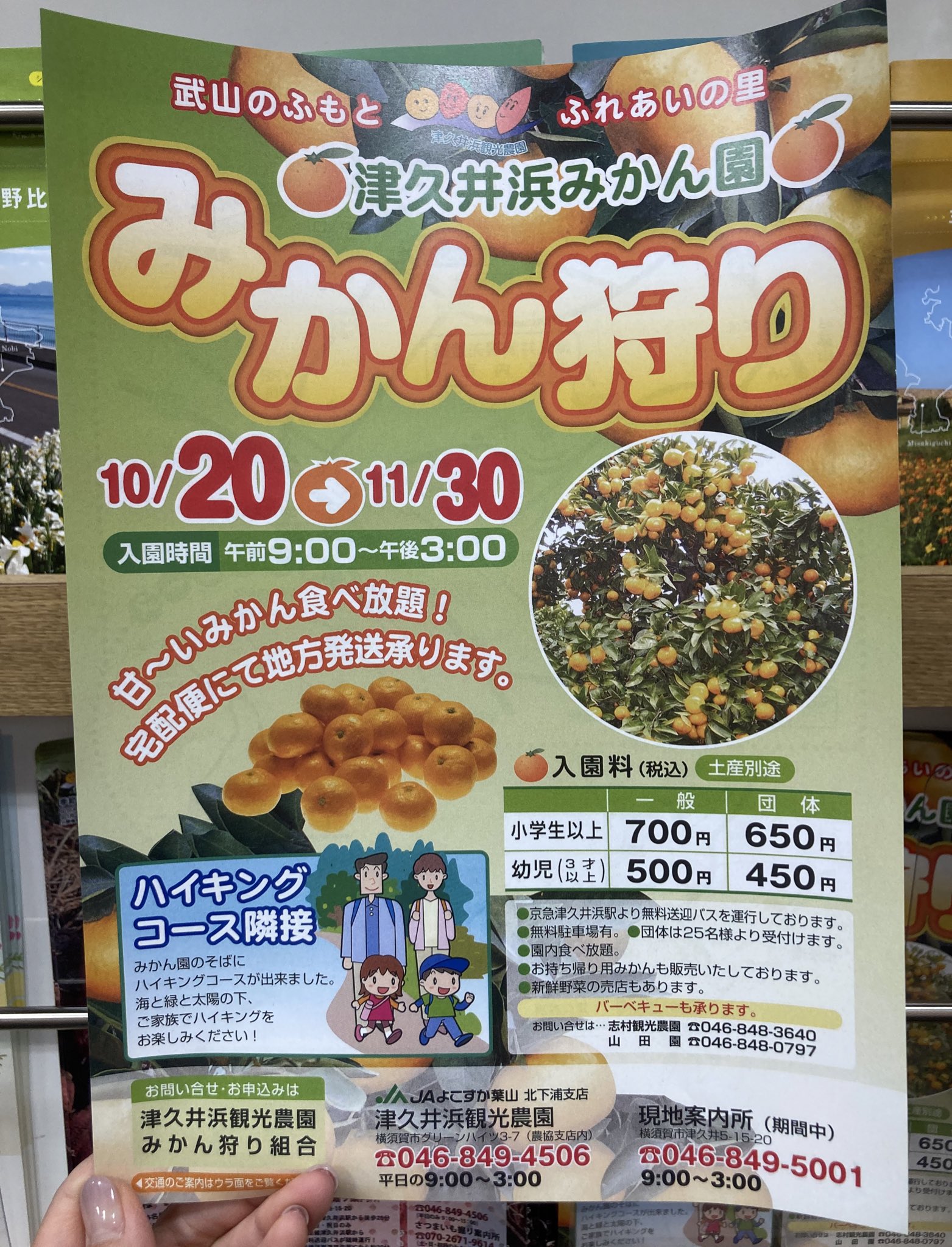 津久井浜観光農園 Twitter Search Twitter