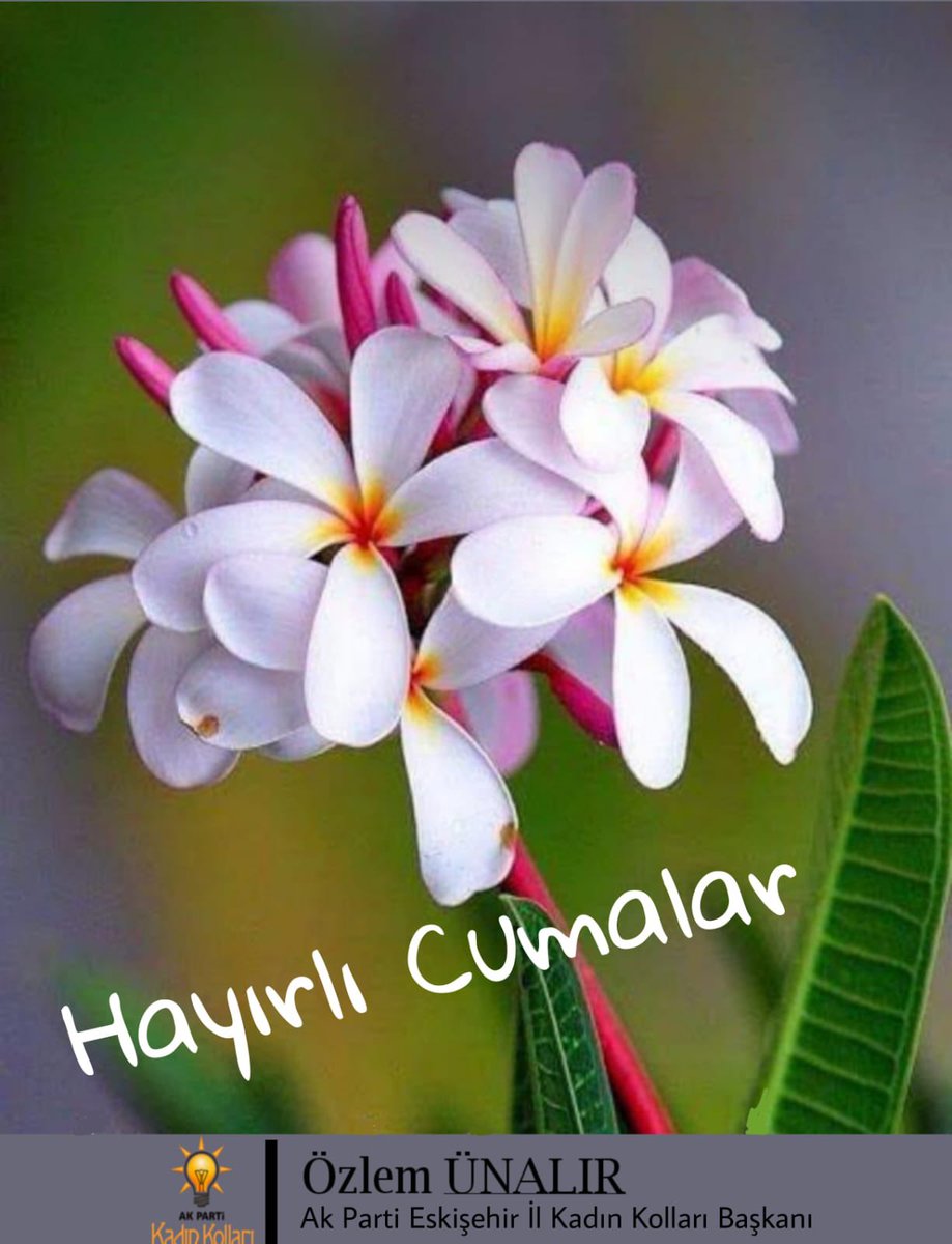 Cumanın rahmeti ve bereketi tüm inananların üzerine olsun. 

#HayırlıCumalar