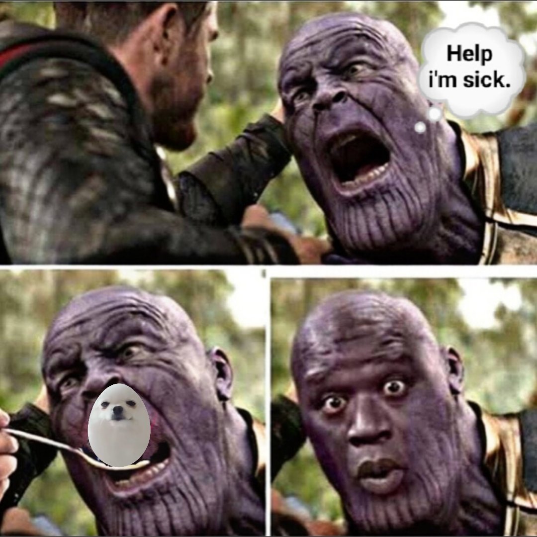 Uda_Ocep's tweet photo. Meme contest submission @Eggthusiasts https://t.co/UwaBFR04Ce