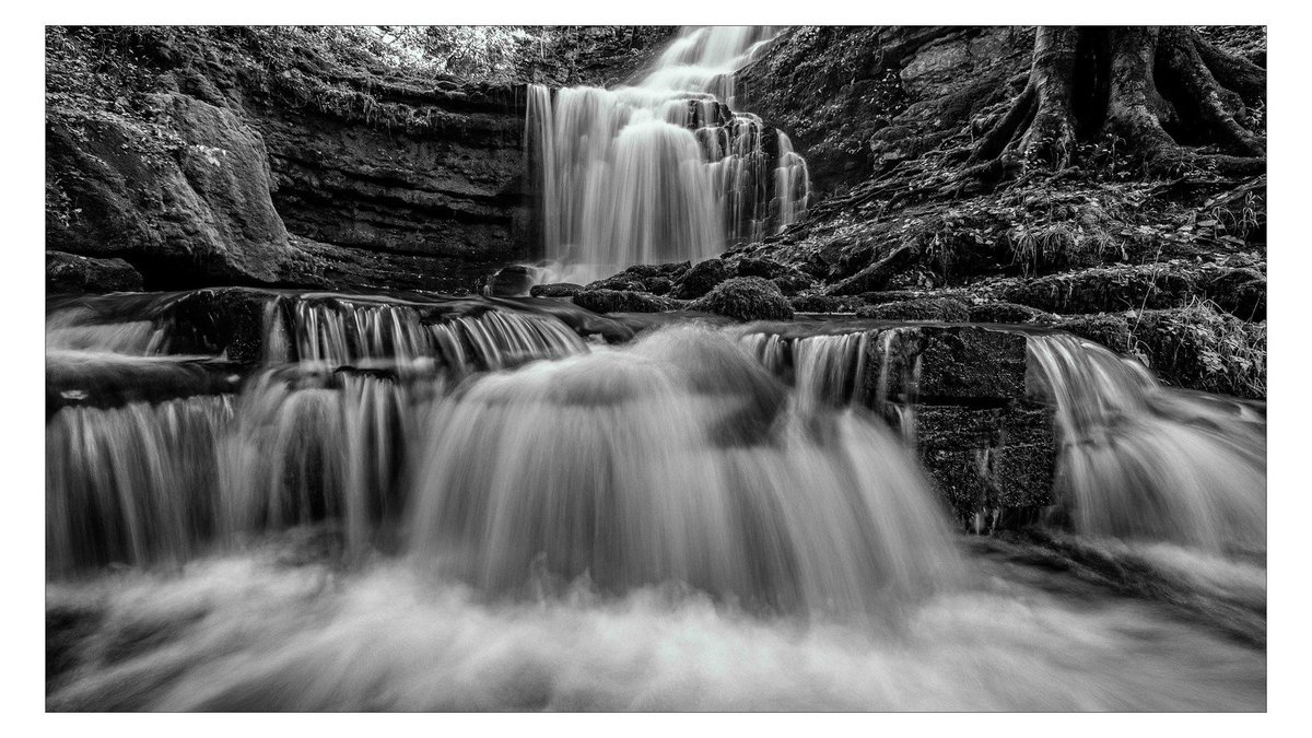 altaylorphoto's tweet photo. Dropped into #Scaleber force to check on the autumnal colours. Not quite there and took a midflow shot, during my brief visit. #yorkshiredales #waterfall https://t.co/IJafCNe2yK