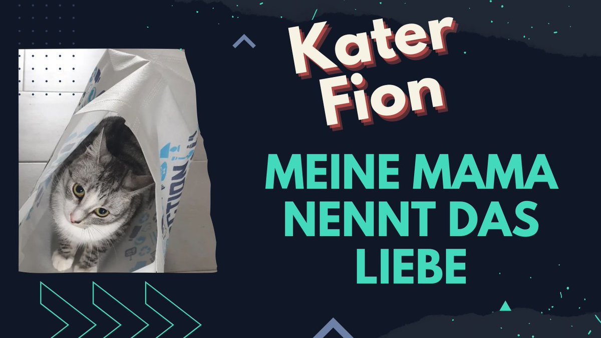 Kater_Fion's tweet photo. Kater Fion Meine Mama nennt das Liebe ➡️➡️https://t.co/3iVJjk5wob
via @YouTube
#sprüche #Fion #KaterFion #Shorts #cat #cats
#katzen #Video #miauen #schlaflied #viral
#katzenvideos #katze #Kater #katzen #Youtube
#tierliebe #liebe https://t.co/lWnNiqKz8S