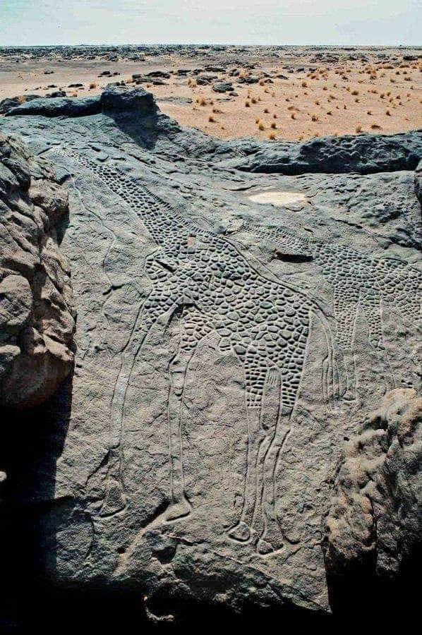 This 10,000-Year-Old rock art is the BIGGEST Animal Rock Petroglyph In The World! 😮