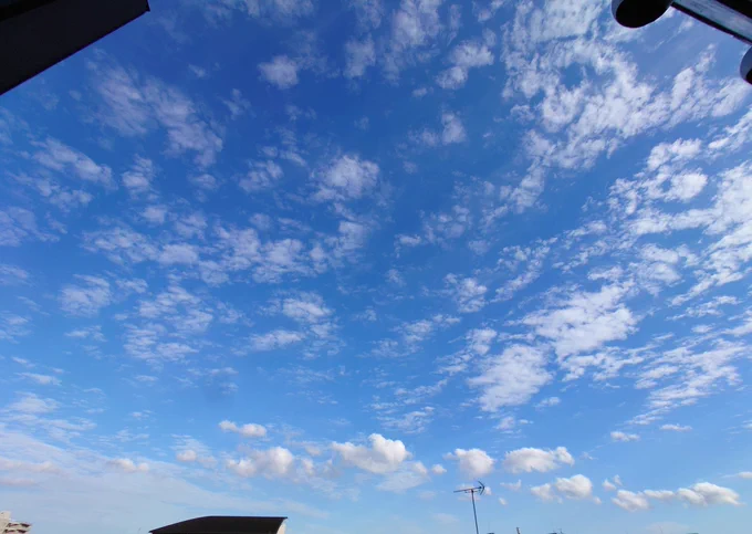 素晴らしき秋空なう。遠くのうろこ雲も素敵。 