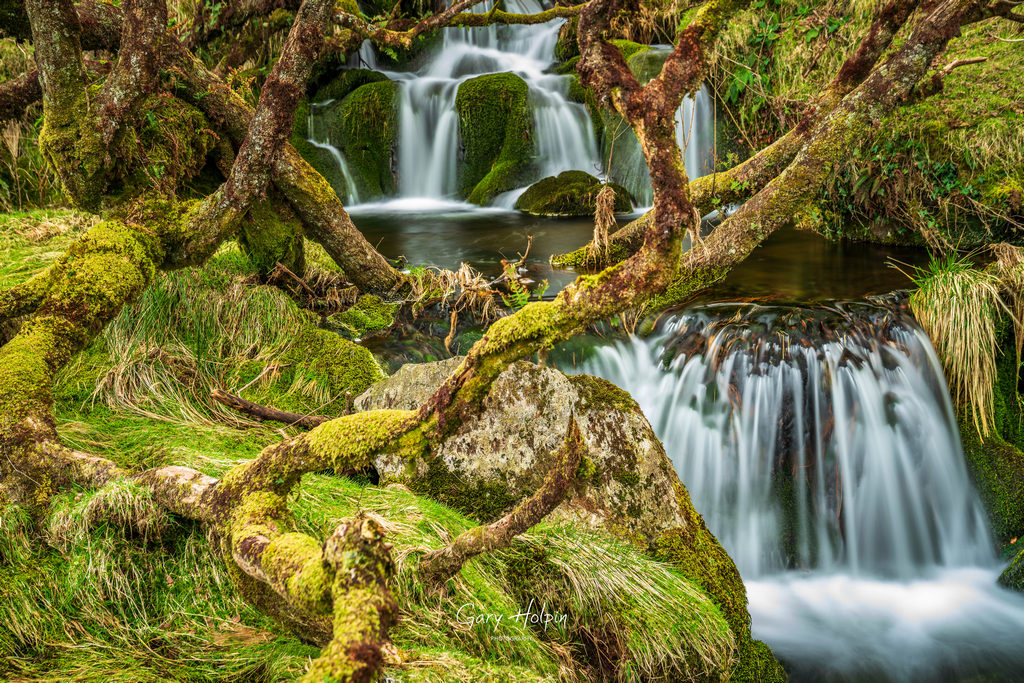 GaryHolpin's tweet photo. So, which was your fave waterfall shot? Please RT &amp; comment to vote!

1. Moody day at Tavy Cleave
2. Venford Falls
3. East Dart Falls
4. Henchertraw

For weekly photo tips visit https://t.co/ICi7KRIL2I &amp; hit 'Sign up' (in top bar)

#Dartmoor #Photographer #PhotographyTraining https://t.co/t9lCYzT9Xb