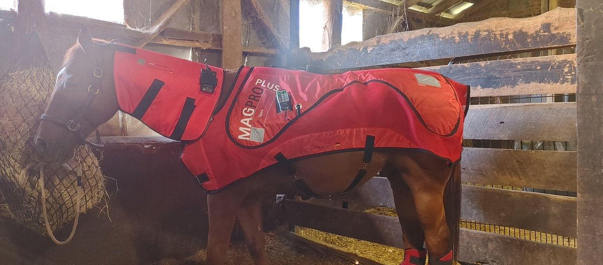 OakGroveHunters's tweet photo. Our horses LOVE their blanket time..
#TherapyOfChampions
#sportinnovationsequine
#OTTB #proseries3in1 #magpro #PEMF https://t.co/lXkjPpKmid