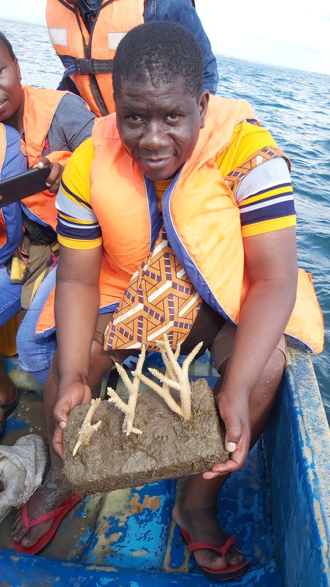 Coral regeneration work in Somanga, Tanzania for @ClimateUniv using new technique developed by local community. #ClimateActionNow