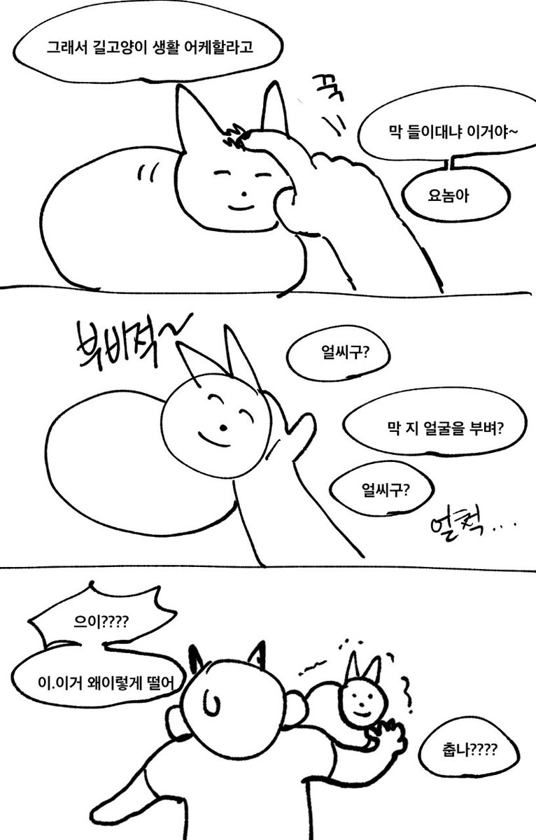 멍청이고양이 