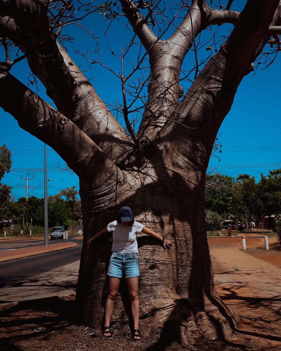 GeorgiaGermein's tweet photo. warm hugs 🌴☀️🤗

#broome #boabtree #boab #westernaustralia https://t.co/aKpP2QsnFP