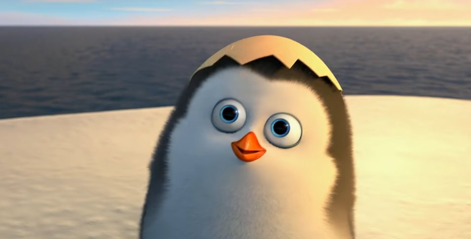 Not owning #YOHO is an expensive mistake.