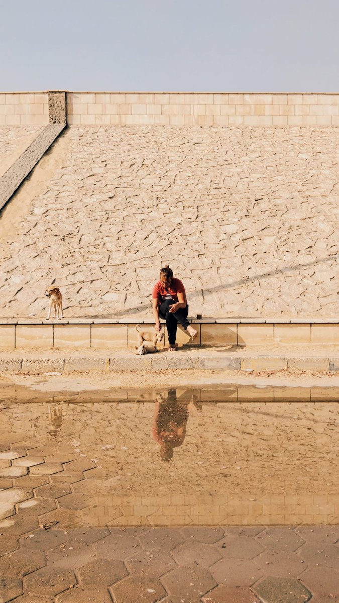 LaraWeissRPM's tweet photo. #Mudira #MeTime spotted by @Ali_Jelene ๐ Nice reflection, too! #LeidenTurinExpeditiontoSaqqara @RM_Oudheden @MuseoEgizio #photography #SaqqaraTombs #weekend #FindsFriday #DogsOnTwitter #dogsoftwitter #Puppies #puppylove #coffee https://t.co/PA2J94mLRz