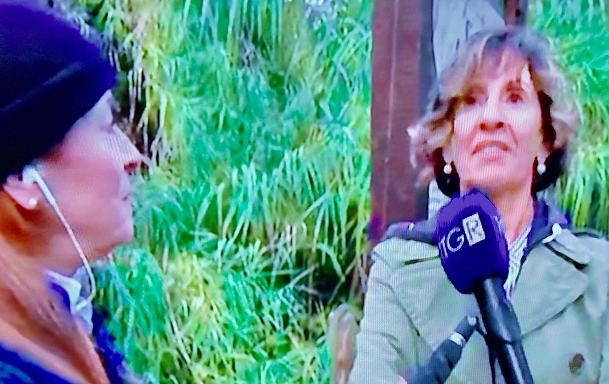 Ente RomaNatura tweet media