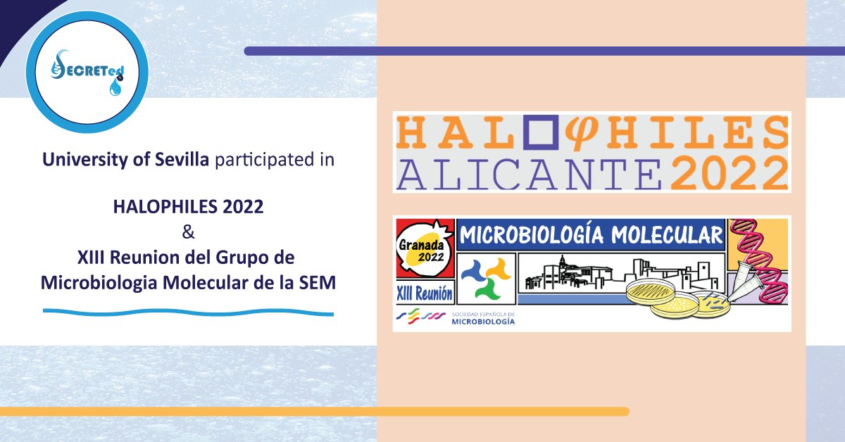 SecretedH's tweet photo. 👏🎉The research activities of @unisevilla in @SecretedH Project🦠💧have been presented at scientific conferences: “HALOPHILES2022” and “XIII Reunión del Grupo de Microbiología Molecular de la SEM”
🌐More info 👉 https://t.co/wY3EWmebb5
#EU #H2020 #SECRETed #conference #halophile https://t.co/KpoXihV7vR
