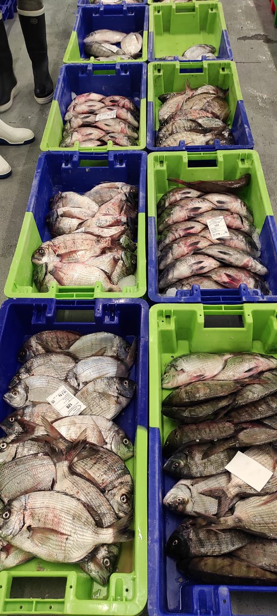 Réveil aux aurores pour nos élèves de Terminale Cuisine et CSR pour assister à la criée.
<a href="/SaintJean64220/">Saint Jean Pied de Port</a> <a href="/dsden64/">DSDEN64</a> <a href="/AcBordeaux/">Académie de Bordeaux</a> <a href="/NvelleAquitaine/">Nouvelle-Aquitaine</a>