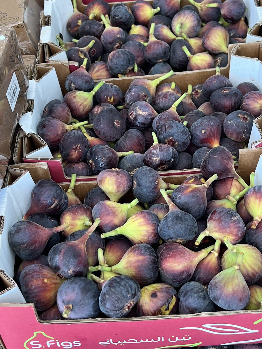 تفوَّقت #القصيم على فلسطين في الزيتون ، وعلى البصرة في الرمان ، وعلى الشام في التين ، وعلى بغداد في  البرحية ، وعلى باريس في العنب! وعلى العراق في التمور ! هذا الصباح تذوَّقت تين السحيباني فأحسست أنني في الزبداني !! #بريدة #الجمعة