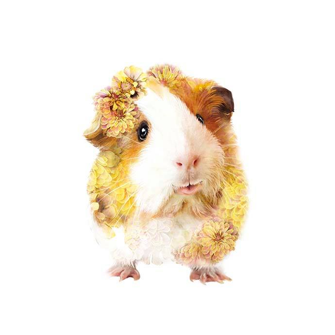 A little cuteness overload to start your weekend.