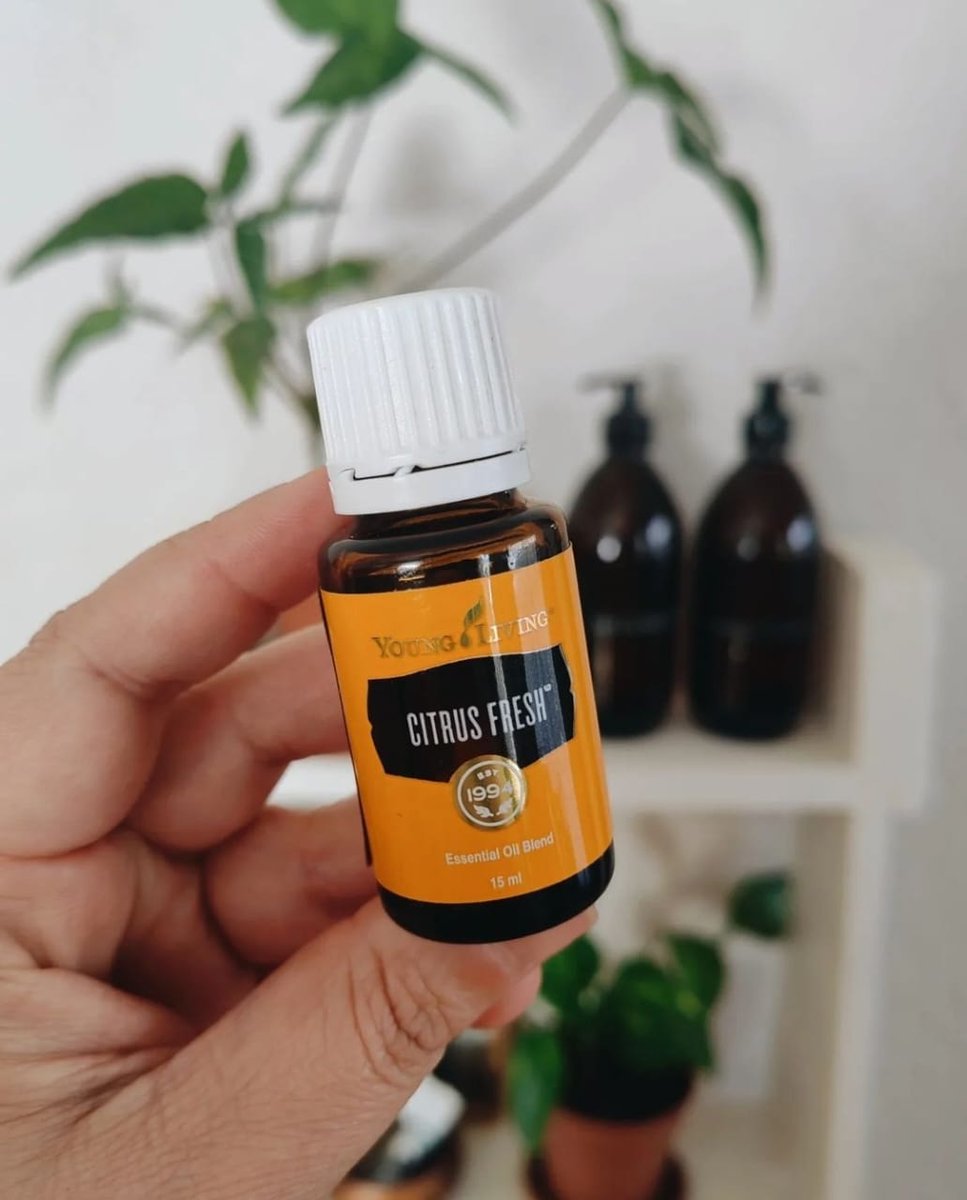 YoungLivingAF's tweet photo. Join the #EssentialOilMovement by purchasing a PSB with a DIFFUSER OF YOUR CHOICE and receive this 10 Oil Bag + a 15ml Citrus Fresh FOR FREE🧨!

Available while stocks last📲 https://t.co/D94YzVZ5Tm

#ToxinFreeLiving #LifeWithYL #YoungLivingAfrica 

📸1,2,4,5  @botanical.bella https://t.co/vKEKl25uUC
