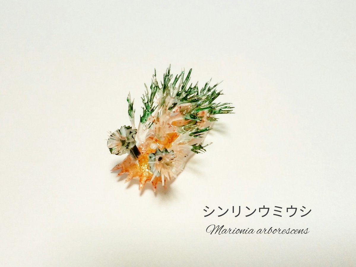 「#まだまだこういうのが好きな人がいるはずなのでどうか届きますようにRTおねがいし」|我流切紙人 ✨5/20・21（土日）デザフェスF-290・291✨のイラスト