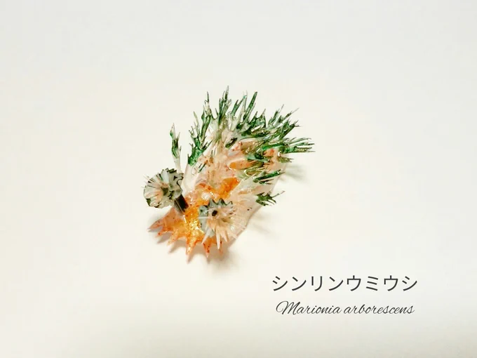 #まだまだこういうのが好きな人がいるはずなのでどうか届きますようにRTおねがいします ウミウシ作品 