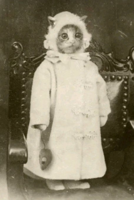 i look like this