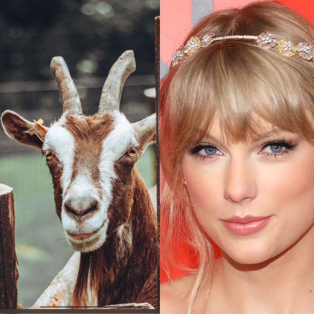 Harr_Frank2's tweet photo. I see no difference… @taylorswift13 you’ve done it again #MidnightsTaylorSwift https://t.co/1kmWaVoTCk