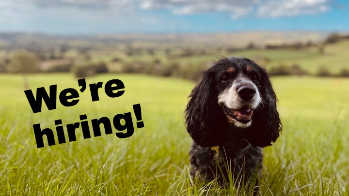 Job alert 📢 We're hiring for 2 Assistant Training & Behaviour Advisors to support the assessment & behavioural rehabilitation of dogs in our rehoming centres: 📍One based at @DT_Evesham 👉tinyurl.com/3yw8euc7 📍One based at @DT_WestCalder 👉tinyurl.com/4xdvcrhs