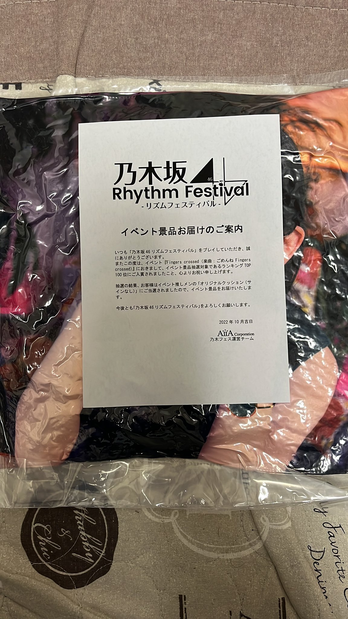 乃木フェス 池田瑛紗 直筆サイン入りオリジナルクッション 乃木坂46
