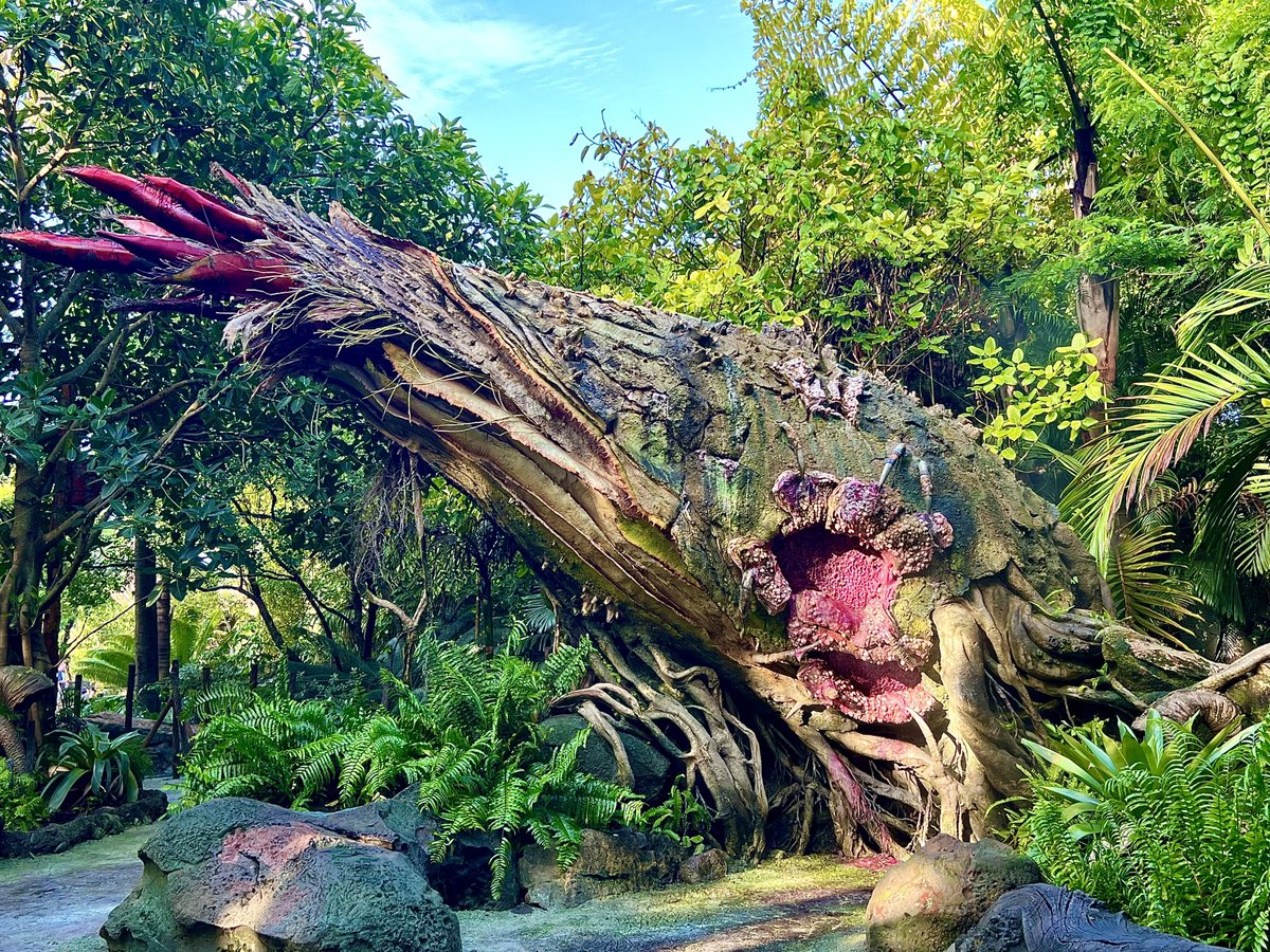 ogorangebird's tweet photo. I never touch this thing but I appreciate it’s there.  #dailydisney #Pandora #AnimalKingdom #Avatar #WaltDisneyWorld https://t.co/aBrTq5urlR