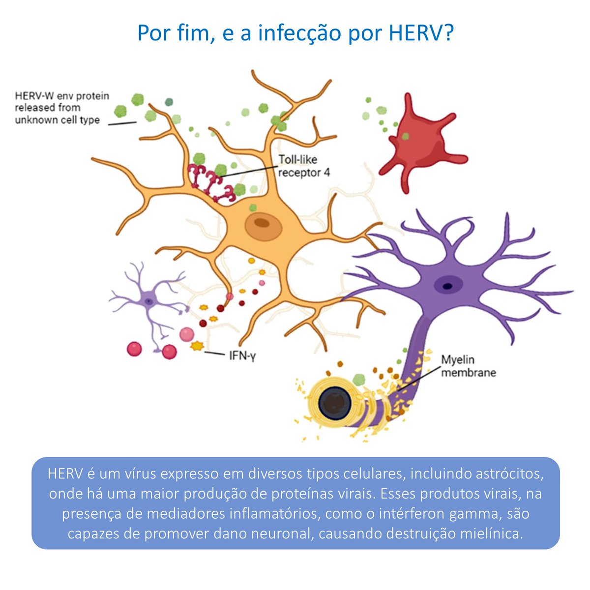 Rimtsp's tweet photo. A Revista do IMTSP publicou um trabalho mostrando o papel de citocinas inflamatórias no curso de doenças infecciosas crônicas e como isso pode estar associado ao dano neuronal. Clique e confira: https://t.co/uu3DhJ82nE https://t.co/e2adtU5DB3