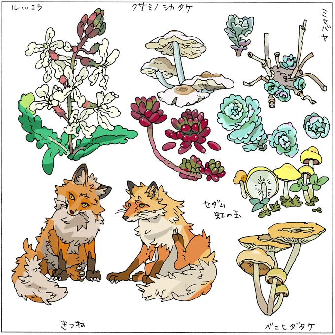 きつねときのこ🍄 
