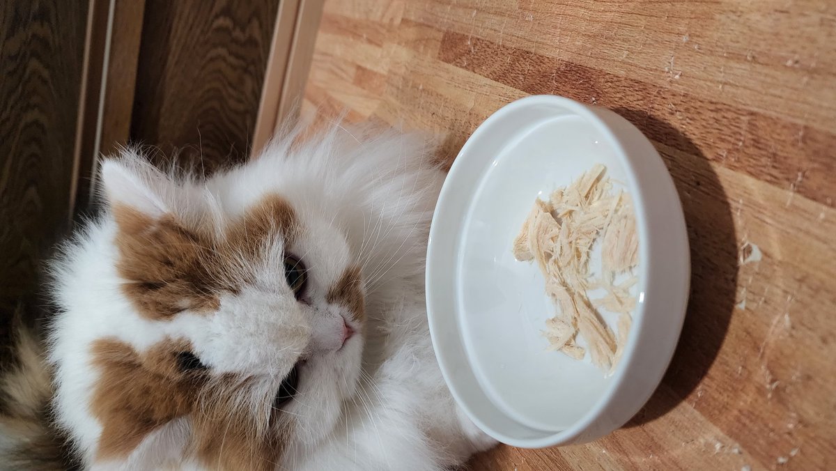 あんずちゃん、大ちゃん、お誕生日おめでとう🎂
日付変わったら福ちゃんもおめでとうだね㊗️

明日もみんなで、お祝いしようねー❤