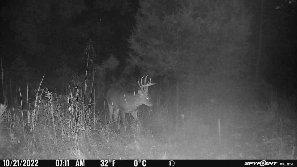 Target buck first morning daylight and I am at work 🤦🏼‍♂️@SpypointCamera