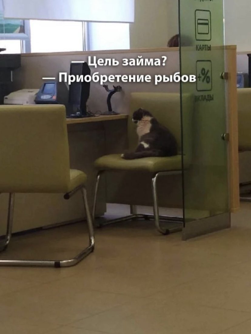 УтиПути (@shotitam) on Twitter photo 