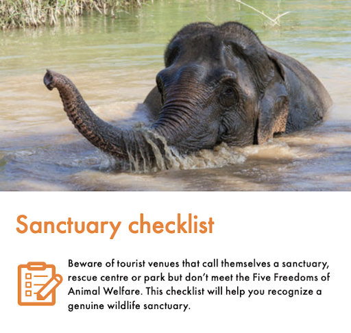 There are a few simple things to look at when choosing to participate in an event or activity that incorporates animals. Take a look at this sanctuary checklist to get started. #ReptileAwarenessDay

meaningfultravelplatform.org/main/promote#1…