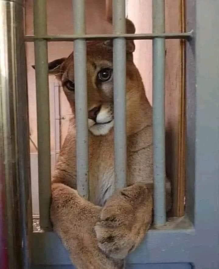 لما تكون شخصيتج قويه عند اهلج وياخدج واحد 
يمشيج ع صراط المستقيم :