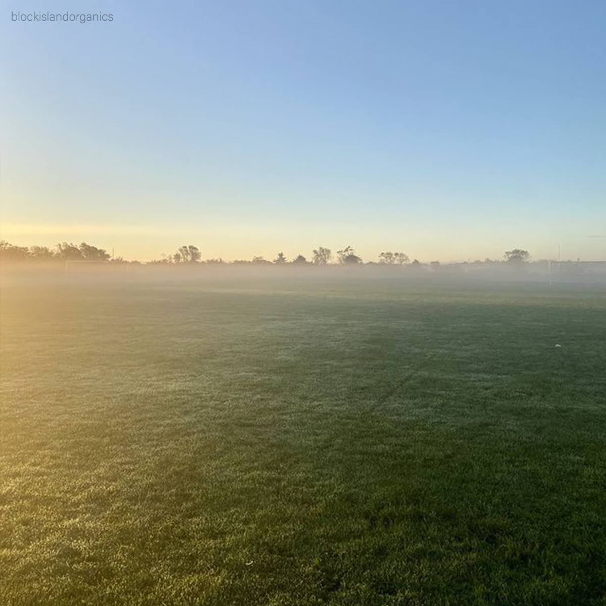 BlockIsleFerry's tweet photo. Cooler temperatures are bringing in that early morning fog to the island. Consider staying on Block Island this fall to check out the scenery yourself!
#BlockIslandLove #BlockIslandMemories #BlockIsland #SailAway #BlockIslandFerry https://t.co/Ojkk5xFsSi