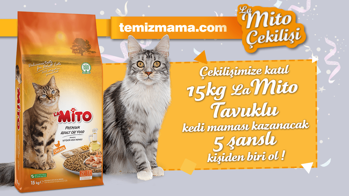 La Mito Tavuklu Kedi Maması Çekilişi! 🥳🥳

5 takipçimize 15 kg La Mito Tavuklu Kedi Maması hediye ediyoruz 🎁

Yapmanız gerekenler:
✔️Hesabımızı takip et 👍
✔️Tweeti RT'le 🔁
✔️Tweetin altında 1 arkadaşını etiketle💬

Kazanan takipçilerimiz 28 Ekim Cuma günü açıklanacaktır 😉