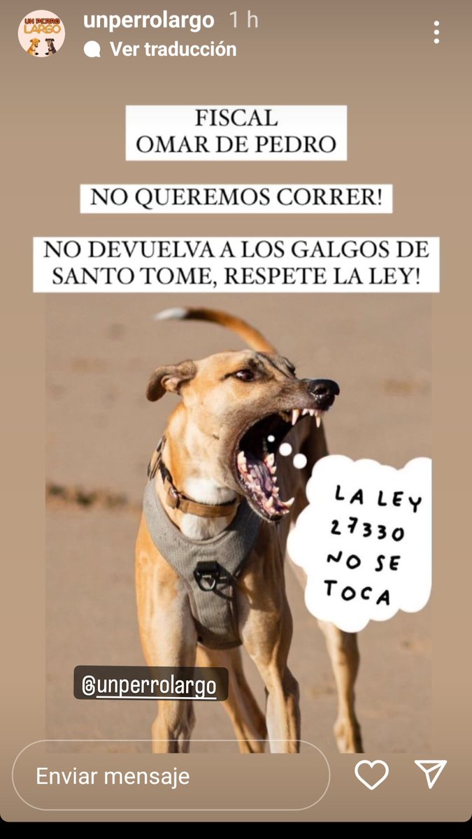 Tanamiga's tweet photo. Rt que sea viral!!! @unperrolargo @valeriaschapira @FernandoPieron4 @proyectogalgoar https://t.co/fEamviM5iy