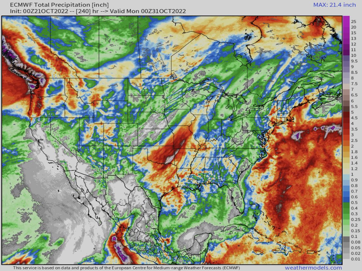 DDFalpha's tweet photo. 10d Euro showing rain in STL, So. IL, NE AR. Low water levels on the Miss River, this must materialize. #corn #soybeans #basis #missriver https://t.co/zUVYAmIQGi