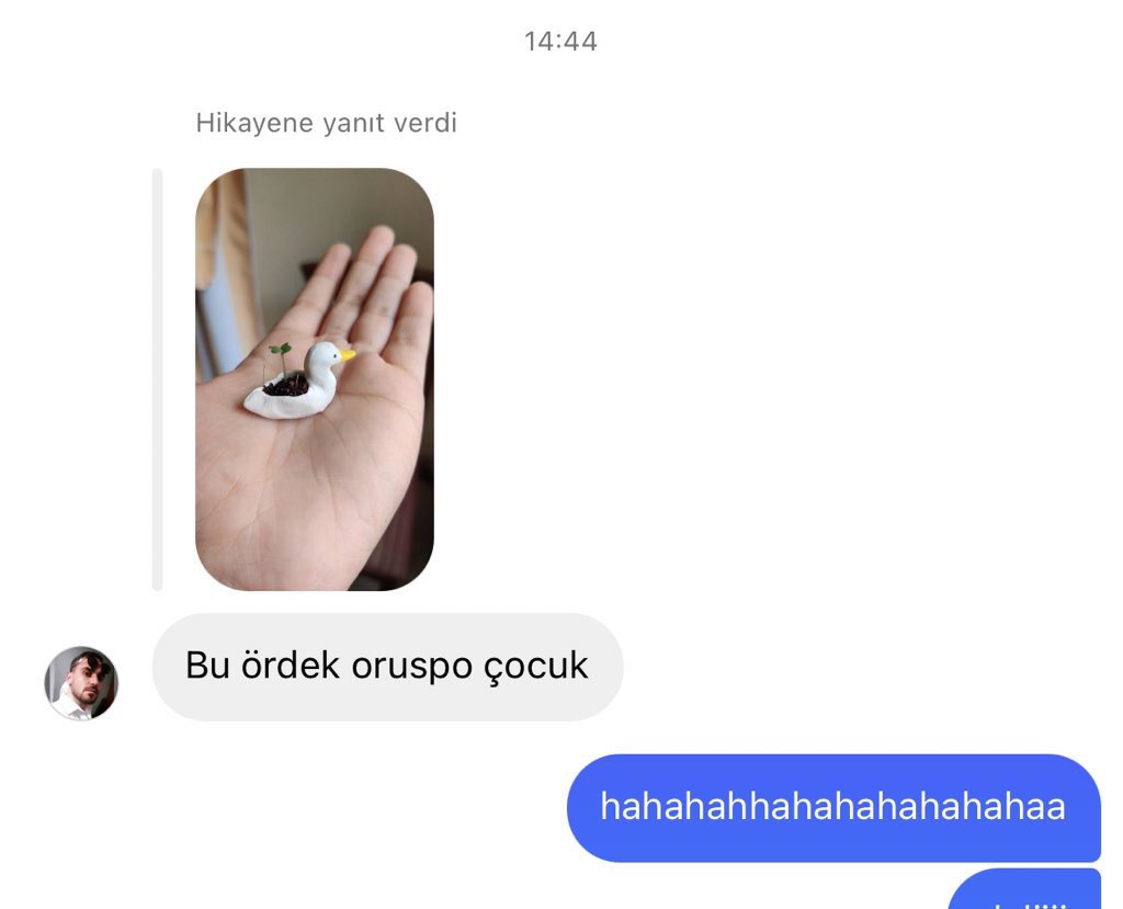 iran’lı arkadasima öğrettiğim türkçe kelimeler