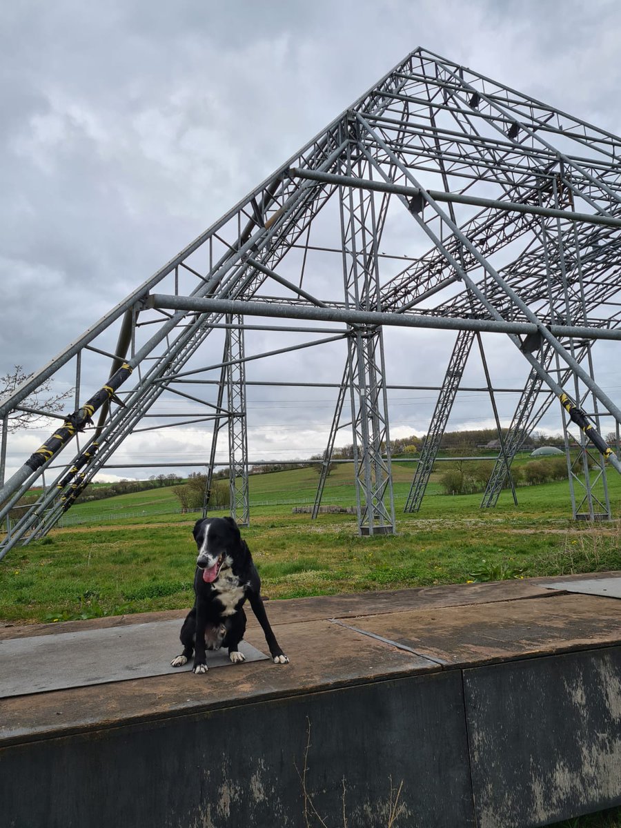 Matthew (he/him) ❤️ tweet media