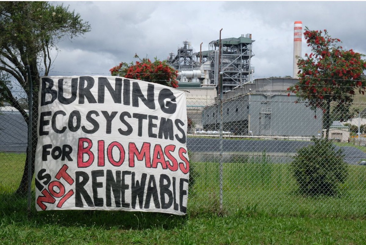 Environmental Paper Network tweet media