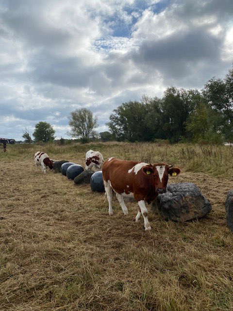 Samen met groep 7/8 van <a href="/DeMeidoorn/">Obs De Meidoorn</a> en beeldend kunstenaar Adri Verhoeven de struinroute met zijn kunstwerken van steenformaties geopend aan de Zandmeren in Kerkdriel <a href="/Gem_Maasdriel/">Gemeente Maasdriel</a>