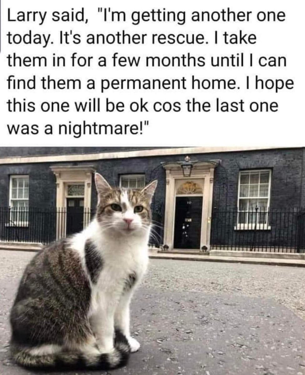 Dr. Jennifer Cassidy tweet media