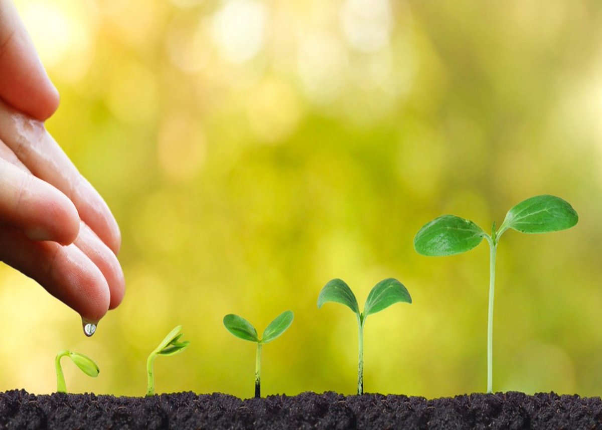 Aleena Banerji, MD (@aleenabanerjimd) on Twitter photo Looking forward to a fantastic & fun retreat connecting with <a href="/MGHAllergy/">MGHallergy</a> faculty! Theme is "Investing in ourselves to create a stronger future!" Please share your inspiring ideas. <a href="/KimberlyBlumen1/">Kimberly Blumenthal, MD, MSc</a> <a href="/AnnaWolfsonMD/">Anna Wolfson, MD</a> <a href="/rebeccasaff/">rebeccasaff</a> <a href="/meconroy22/">Michelle Conroy</a> <a href="/sokol_mdphd/">Caroline Sokol MDPhD</a> <a href="/NeelamPhadkeMD/">Neelam Phadke</a> <a href="/drsaritapatil/">Sarita Patil, MD</a> Looking forward to a fantastic & fun retreat connecting with <a href="/MGHAllergy/">MGHallergy</a> faculty! Theme is "Investing in ourselves to create a stronger future!" Please share your inspiring ideas. <a href="/KimberlyBlumen1/">Kimberly Blumenthal, MD, MSc</a> <a href="/AnnaWolfsonMD/">Anna Wolfson, MD</a> <a href="/rebeccasaff/">rebeccasaff</a> <a href="/meconroy22/">Michelle Conroy</a> <a href="/sokol_mdphd/">Caroline Sokol MDPhD</a> <a href="/NeelamPhadkeMD/">Neelam Phadke</a> <a href="/drsaritapatil/">Sarita Patil, MD</a>