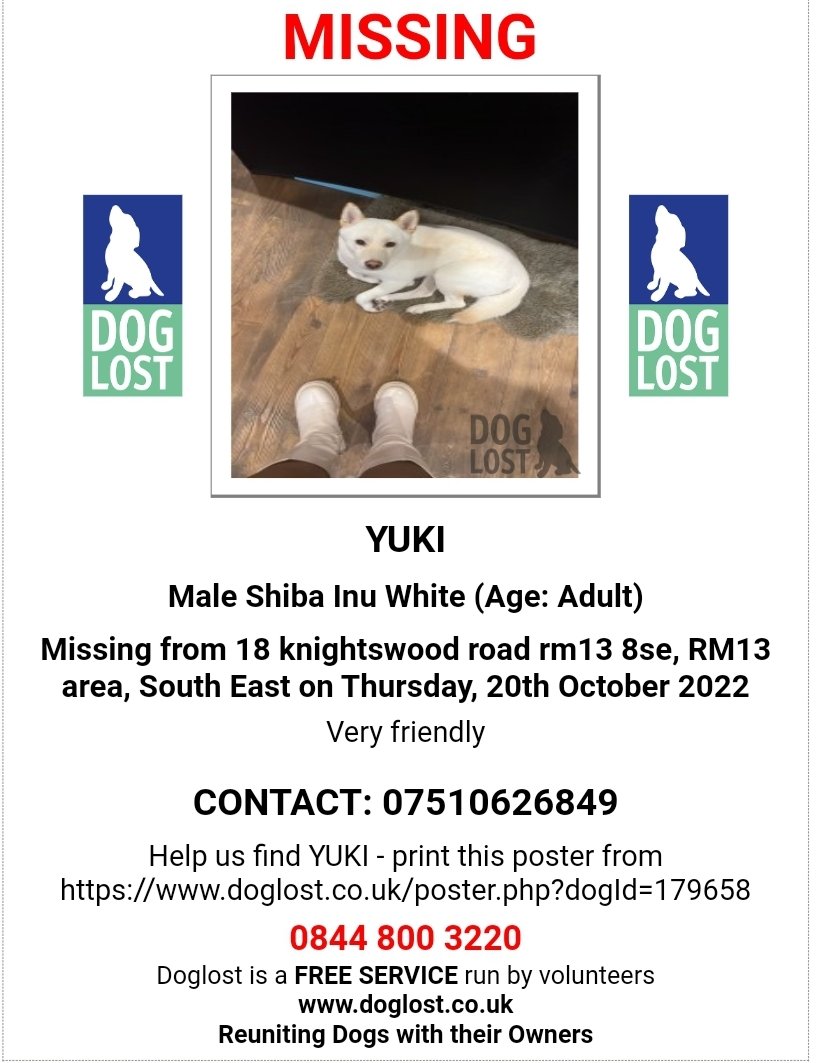 MissingPetsGB's tweet photo. 🐕 YUKI, a male Shiba Inu has gone #missing from Knightswood Road #Rainham #Essex #RM13 on 20 Oct 2022.
He is chipped and has light brown outline around ears.
Please do not chase if seen
https://t.co/SY5K8y5N1z https://t.co/tTaQpdvbbI