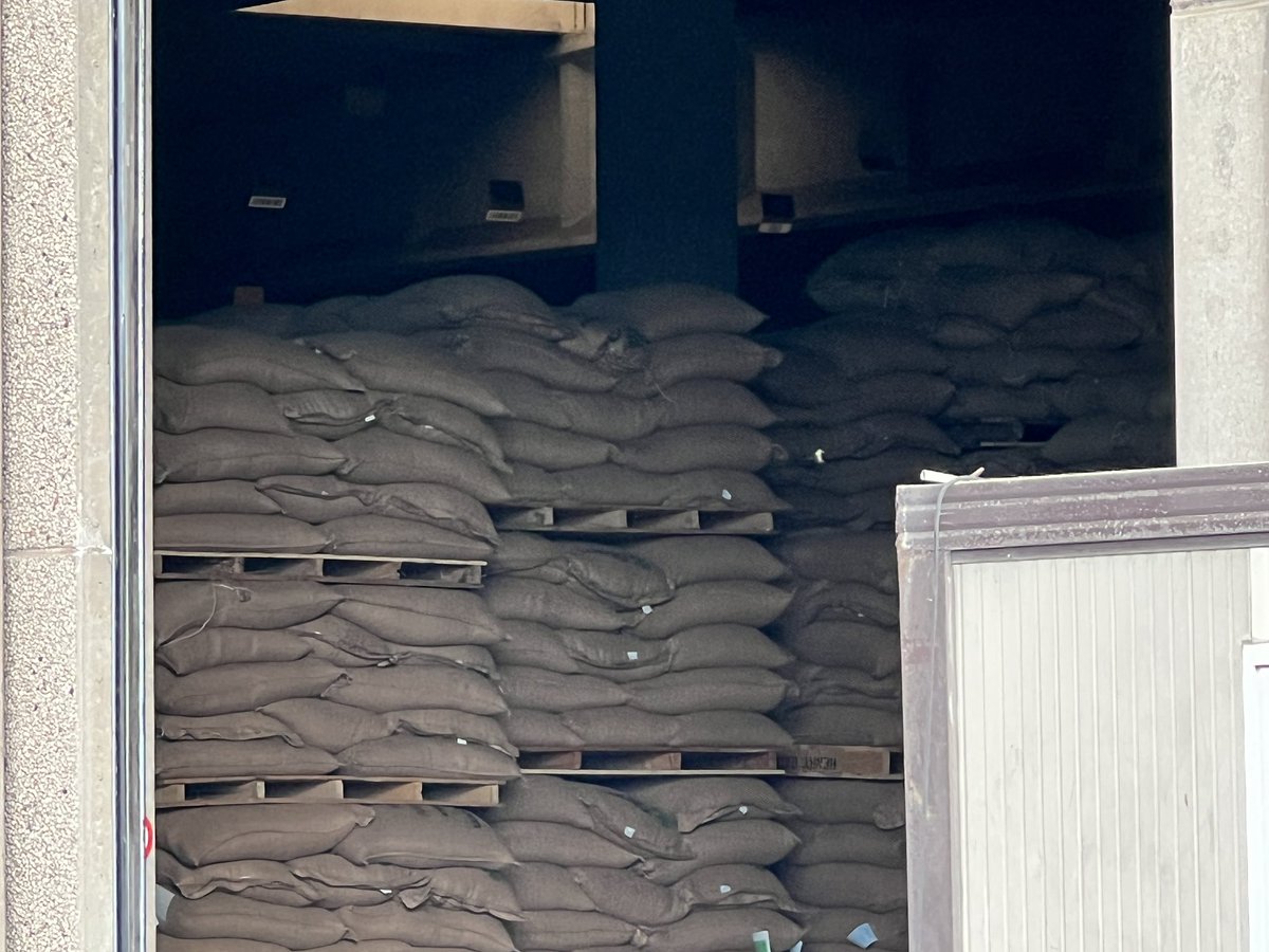 StudyBrewing's tweet image. Visited the waterfront shipping area of Antwerp. Home to the largest coffee warehouses in the world, I’m hoping to arrange a future visit and lecture for my Food Studies students.  Once back in the central part of Antwerp, had a beer at Oud Arsenaal, while the sun shone.