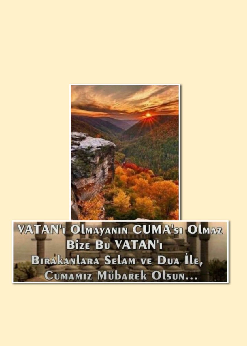 araslan06 tweet media